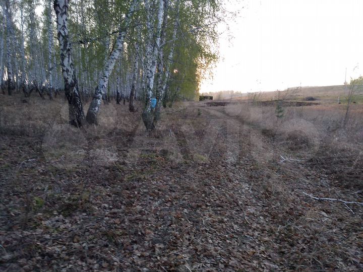 Участок 13 сот. (СНТ, ДНП)