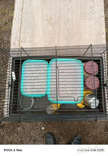 Клетка для грызунов бу