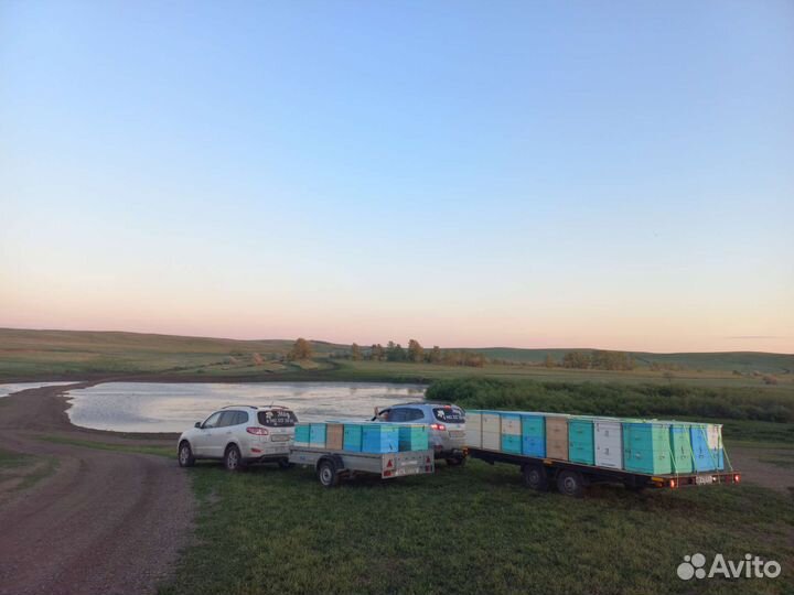 Мед с личной пасеки