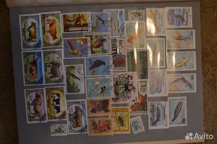 Альбом с марками