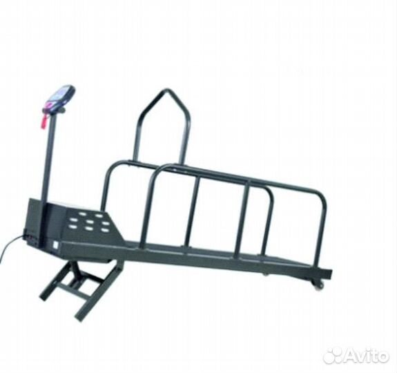 Беговая дорожка для собак