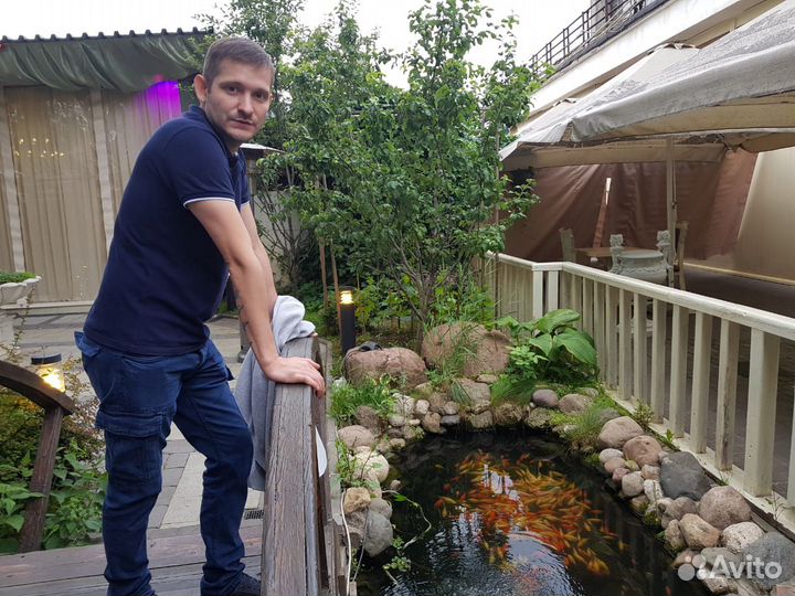 Помощник руководителя