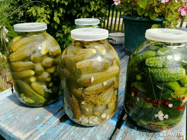 Огурцы соленые