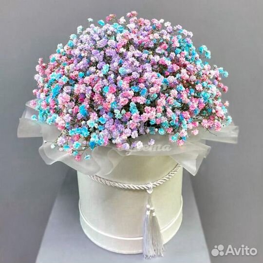 Цветная гипсофила Доставка цветов