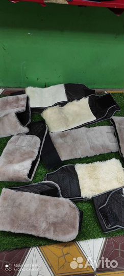 Овечьи пояса лечебные