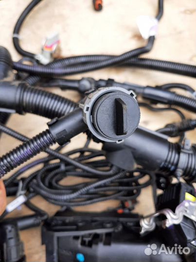 Проводка двигателя MAN D0836