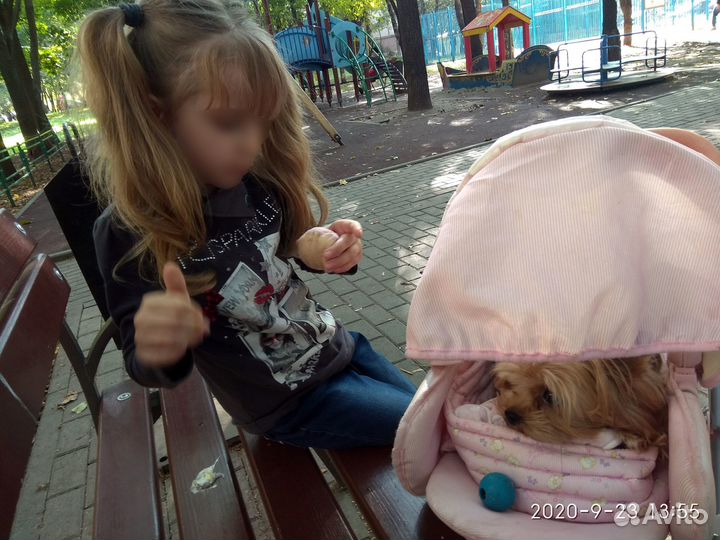 Одежда для девочки 116 см