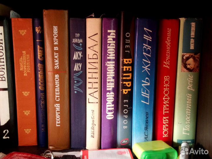 Домашняя библиотека