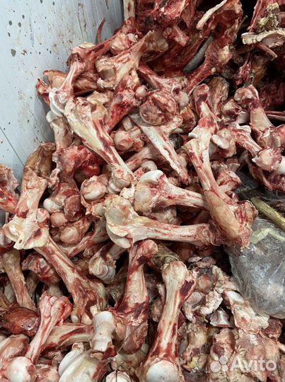 Кости говяжьи