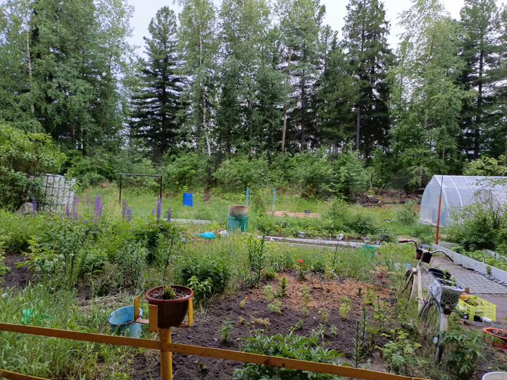 Дача 22 м² на участке 17 сот.