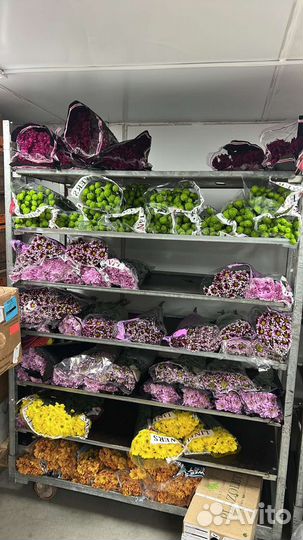 Цветы оптом и в розницу