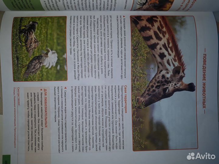 Иллюстрированная энциклопедия школьника