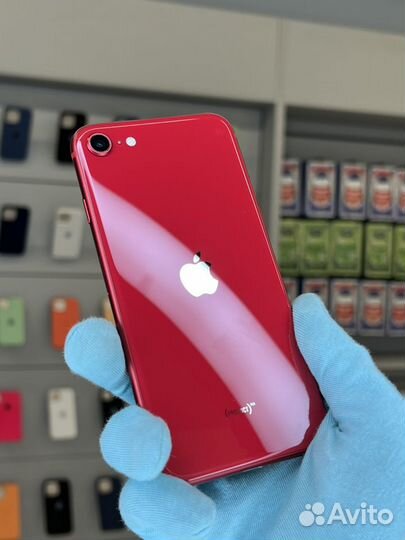 iPhone SE (2020), 256 ГБ