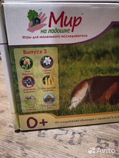 Развивающий набор Мир на ладошке