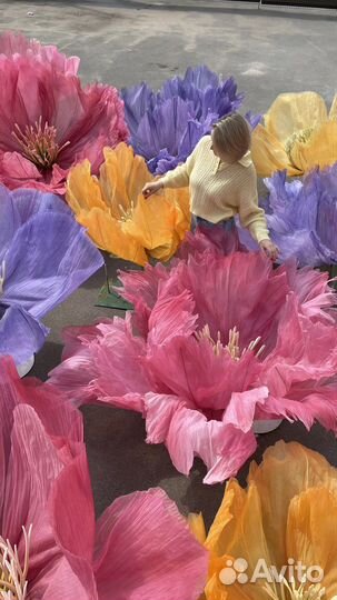 Ростовые цветы