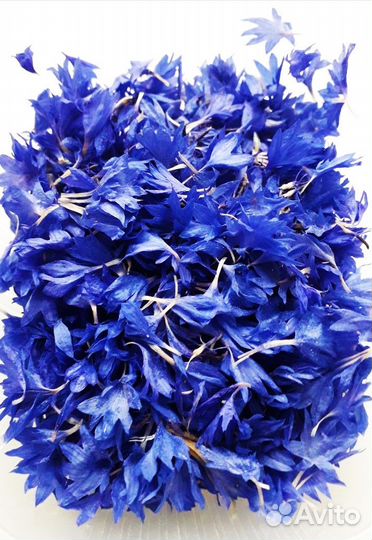 Сухоцветы для творчества