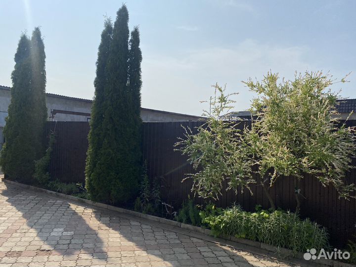 Баня на дровах