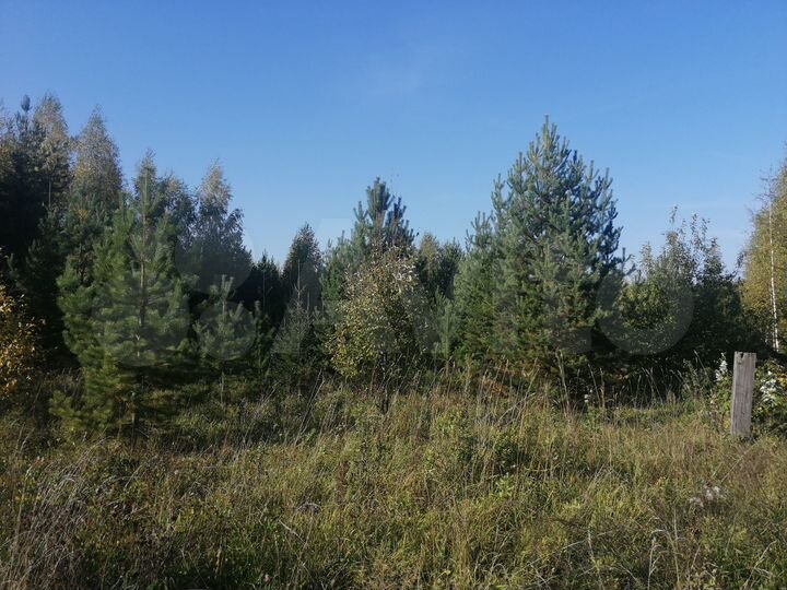 Участок 10 сот. (ИЖС)