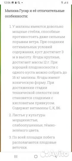 Малина ранняя Гусар