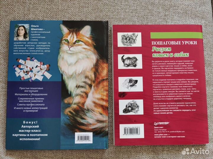 Отличные книги для начинающих художников