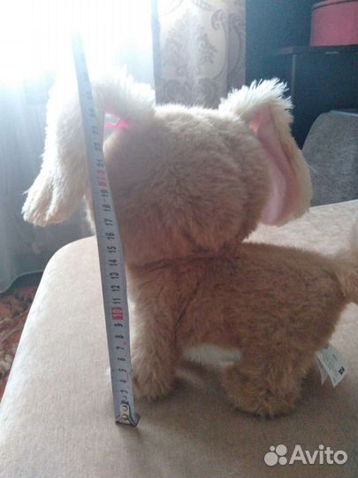 Интерактивная собака