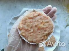 Гребешки в ассортименте вес