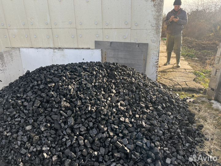 «Уголь» каменный (до) орех