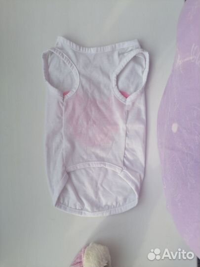 Одежда для животных