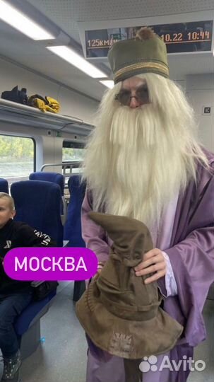 Билеты на поезд Гарри Поттер