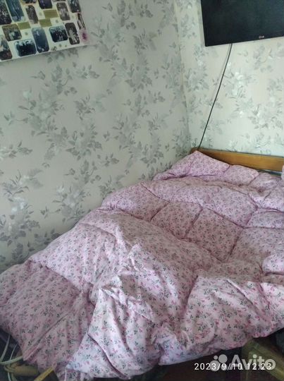 Одеяло и подушки пух