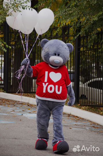 Аниматоры - Мишка Тедди