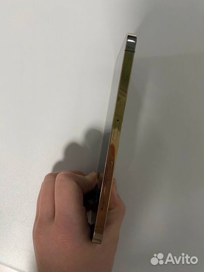 iPhone 12 Pro Max, 256 ГБ