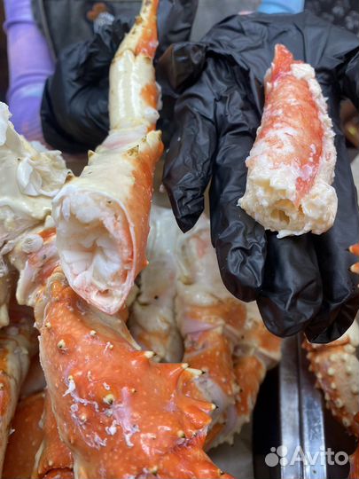 Камчатский краб