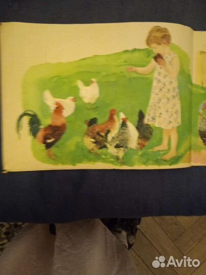 Книга домашние животные 1946 год Аркадий Пластов