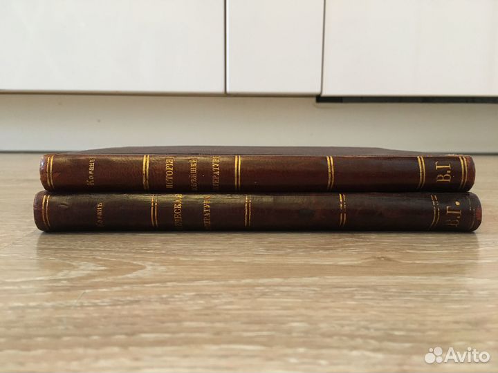 1907г. Очерки по истории древних литератур Коган