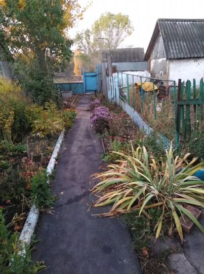 Дом 59 м² на участке 15 сот.