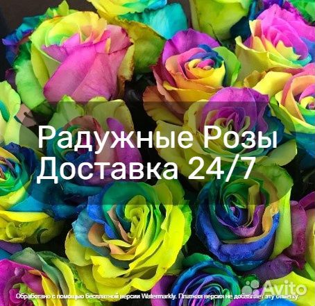 Розы Цветные Радужные 25 51 101