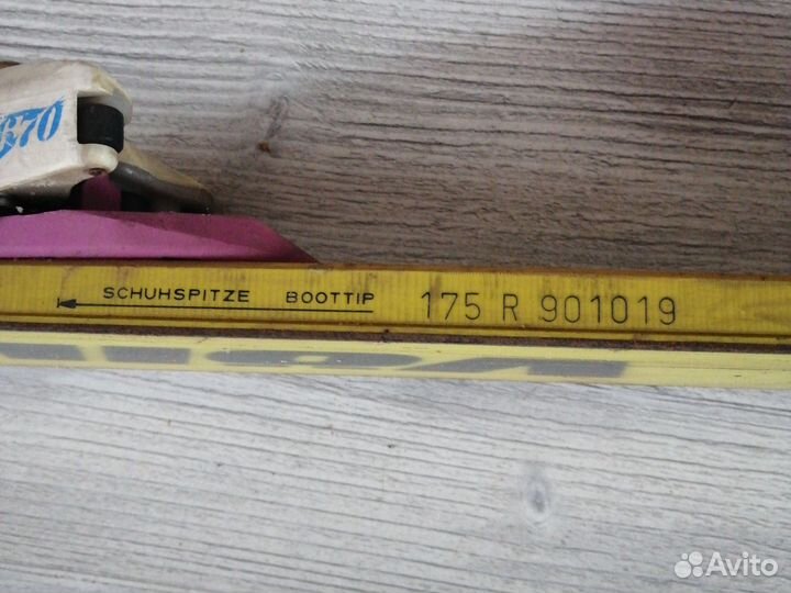 Горные лыжи