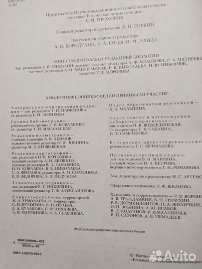 Энциклопедия Лес России