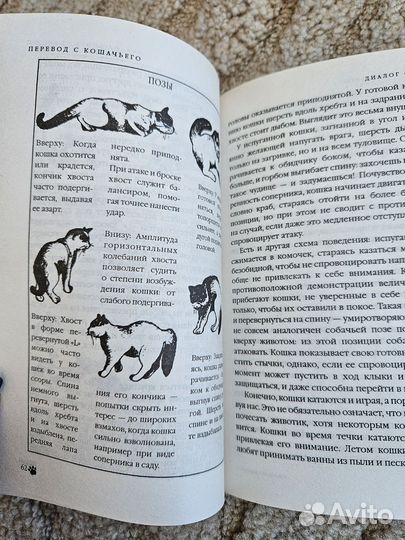 Книги о кошках, бестселлер перевод с кошачьего