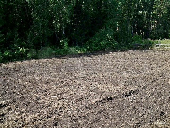 Участок 8,3 сот. (СНТ, ДНП)