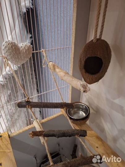 Витрина для грызунов, клетка для грызунов