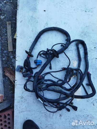 Жгут проводов передний в сборе