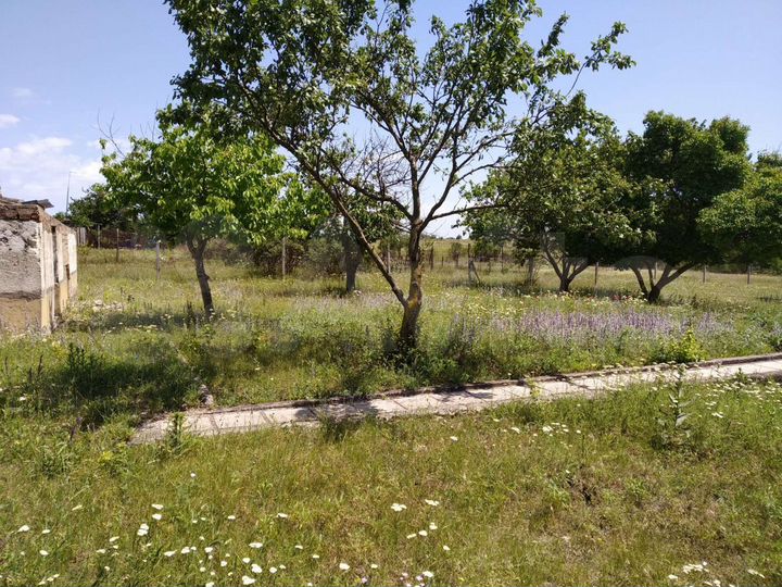 Дача 80 м² на участке 12 сот.