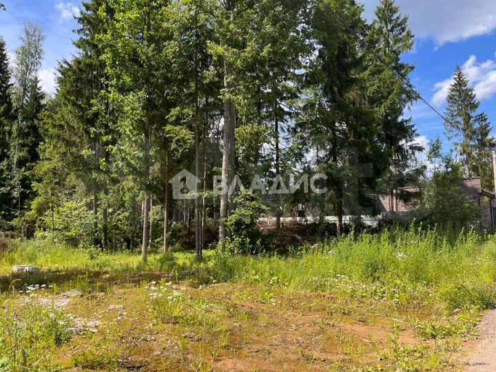 Участок 24 сот. (СНТ, ДНП)