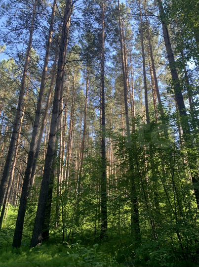 Участок 15 сот. (ИЖС)