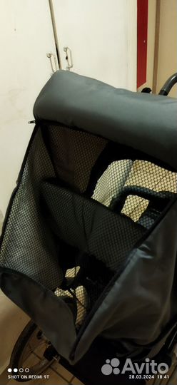 Коляска 2 в 1 Darjan