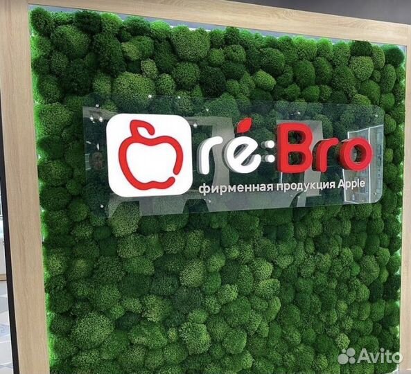 Стабилизированый мох