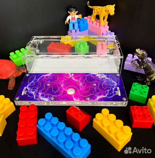 Муравьиная ферма Midi. Формикарий муравьиный