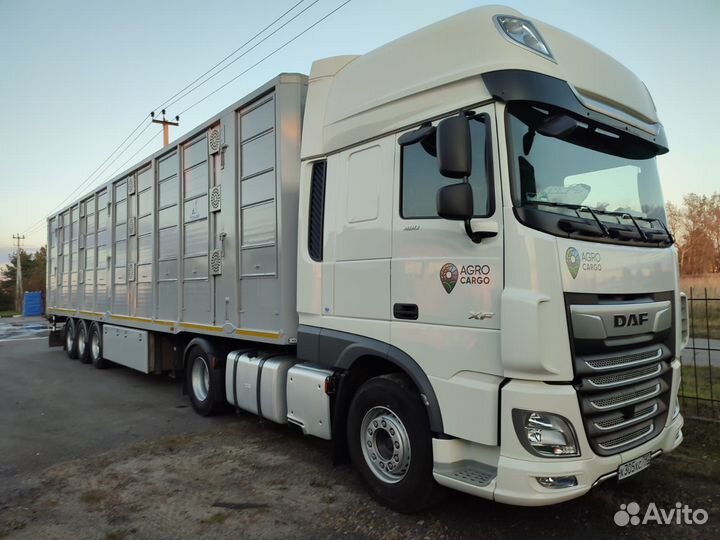 Водитель категории Е (скотовоз) Международные рейс